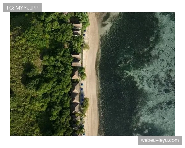 阿姆斯特丹推出新措施促进可持续旅游,吸引国际游客关注环保旅行趋势 阿姆斯特丹推出新措施促进可持续旅游,吸引国际游客关注环保旅行趋势