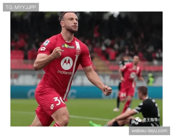 阿拉维斯本赛季数据分析：防守稳固，主场表现稳健